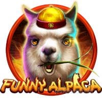Funny Alpaca